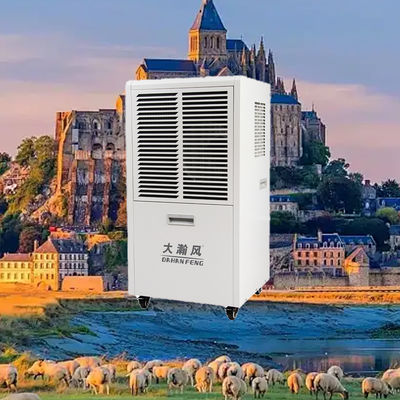 Good price Commercial Dehumidifier 60L/D 220V for 80-120 sqm Spaces online