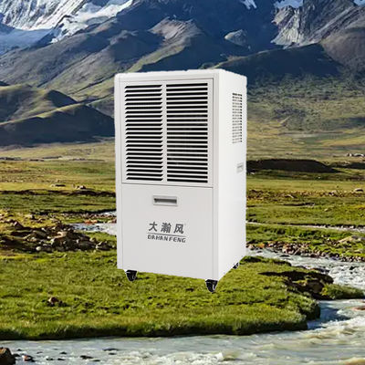 Good price 60L/D Commercial Dehumidifier 220V 50Hz for 80-120m² Areas online